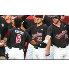 Carolina Customized Base Ball Jersey Carolina Customized Base Ball Jersey