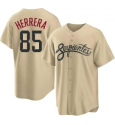Men Arizona Diamondbacks Jose Herrera Nike 2021 City Connect Authentic MLB Jersey Gold Men Arizona Diamondbacks Jose Herrera Nike 2021 City Connect Authentic MLB Jersey Gold