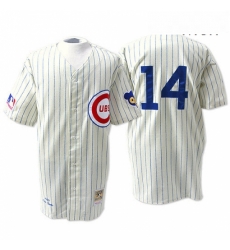 Mens Mitchell and Ness Chicago Cubs 14 Ernie Banks Authentic Cream 1969 Throwback MLB Jersey Mens Mitchell and Ness Chicago Cubs 14 Ernie Banks Authentic Cream 1969 Throwback MLB Jersey