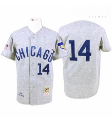 Mens Mitchell and Ness Chicago Cubs 14 Ernie Banks Authentic Grey Throwback MLB Jersey Mens Mitchell and Ness Chicago Cubs 14 Ernie Banks Authentic Grey Throwback MLB Jersey