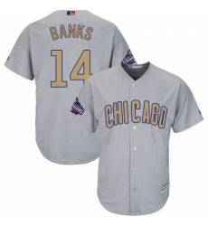 Youth Majestic Chicago Cubs 14 Ernie Banks Authentic Gray 2017 Gold Champion Cool Base MLB Jersey Youth Majestic Chicago Cubs 14 Ernie Banks Authentic Gray 2017 Gold Champion Cool Base MLB Jersey