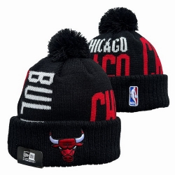 Chicago Bulls Beanies 25K 360